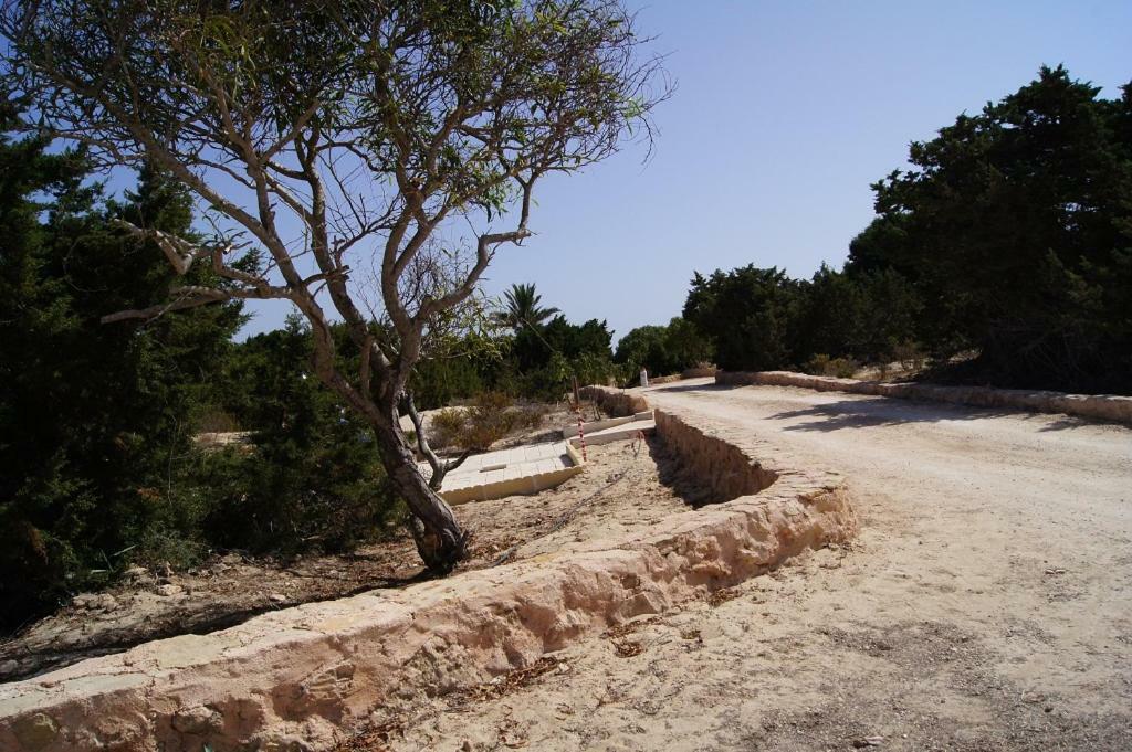 Apartamentos Las Dunas De Levante 埃斯普霍斯 外观 照片